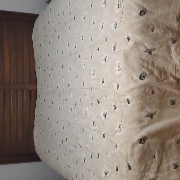 Comforter - Picture 1 of 3